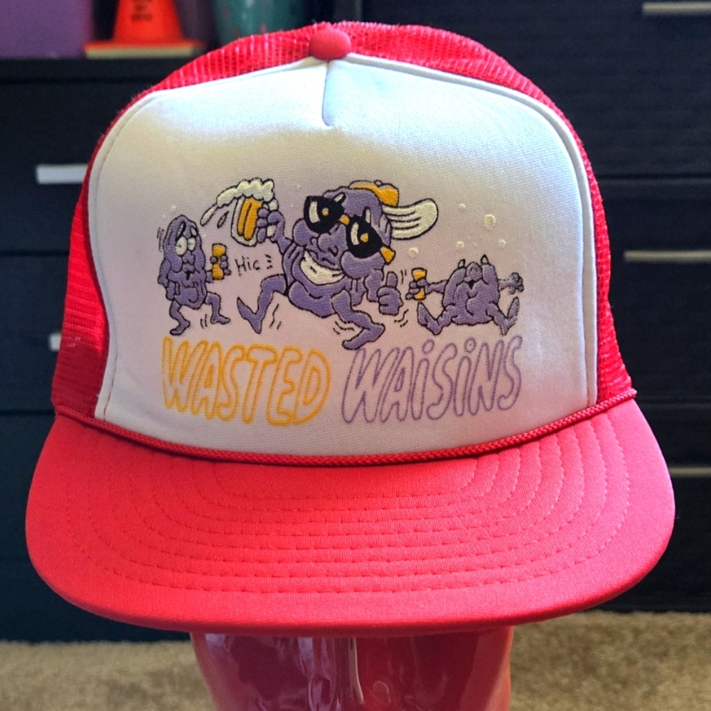 Vintage California Raisins Snapback